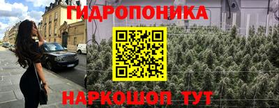 соль ск Славгород