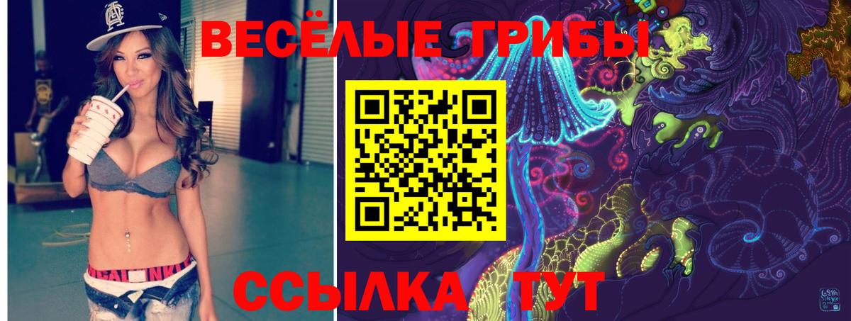где купить наркотик  Псилоцибиновые грибы Psilocybine cubensis  Вход с VPN  Реутов 